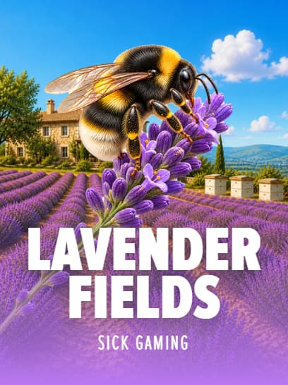 Lavender Fields