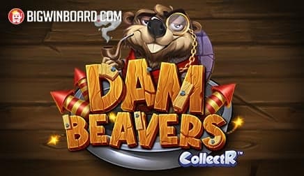 Dam Beavers