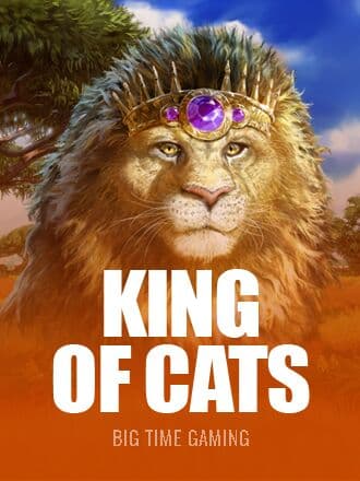 King of Cats