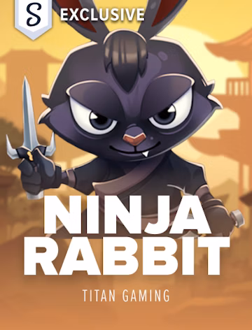 Ninja Rabbit