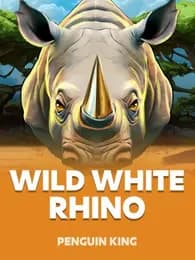 Wild White Rhino